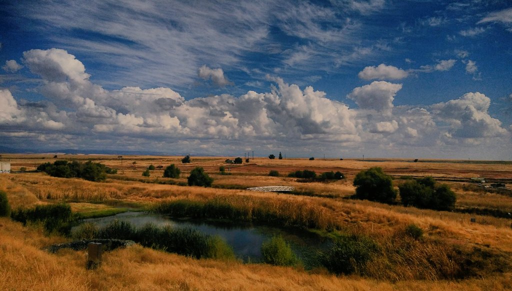 Autumn is a beautiful time at @ucmerced #vernalpools #grassland