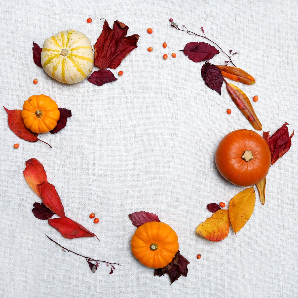 Happy Thanksgiving weekend! What are you thankful for? I am thankful for our amazing forum planning committee (don't forget to get your tickets) and for good weather this weekend to check out the also amazing #BrooksCornMaze 
#BrooksLIP #SADIF #communityunited #supportlocal