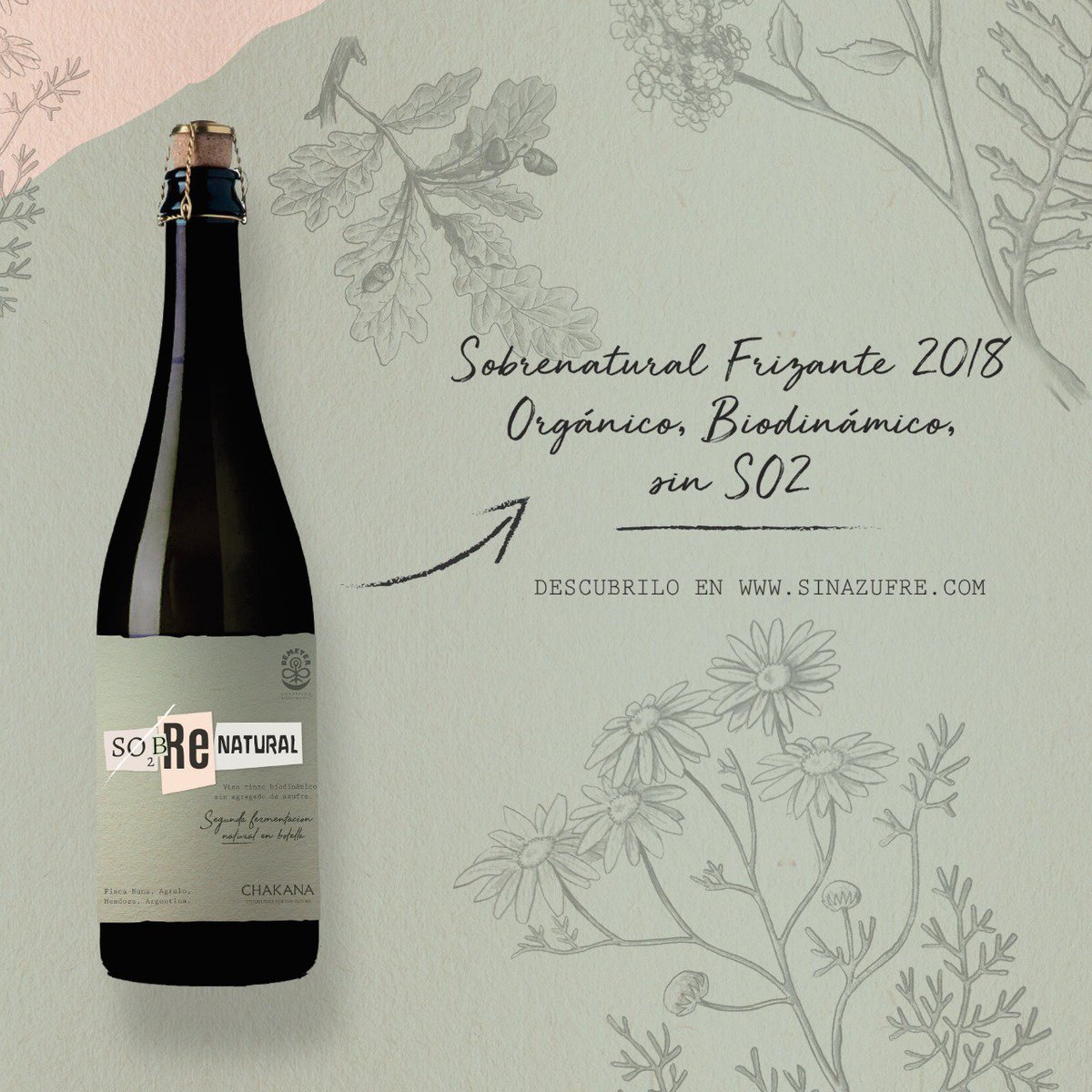 #PRONTO 🍷 Presentamos en sociedad, nuestra flamante expresión, #SOBRENATURAL.

Un nuevo y reforzado intento en el camino de la viticultura responsable y de mínima intervención: 2 vinos sin sulfitos agregados.

Conocé todo en 👉 SinAzufre.com 🍷🌱
