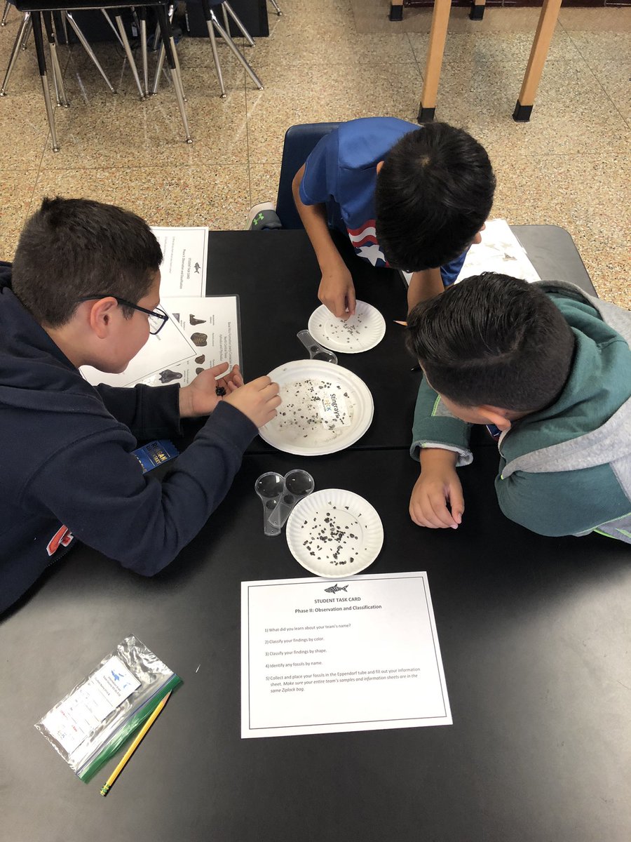 SharkFinder Phase 2 success! Citizen scientists learned to use a digital microscope to investigate shark tooth fossils today. There were some pretty amazing discoveries made. #PICKedu #letthemexplore #childrenarethebestinvestigators