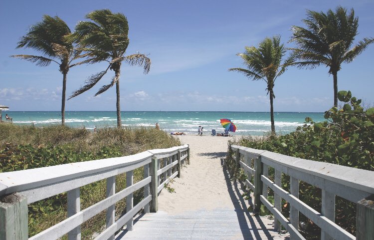 SelfCare_Helper tweet media