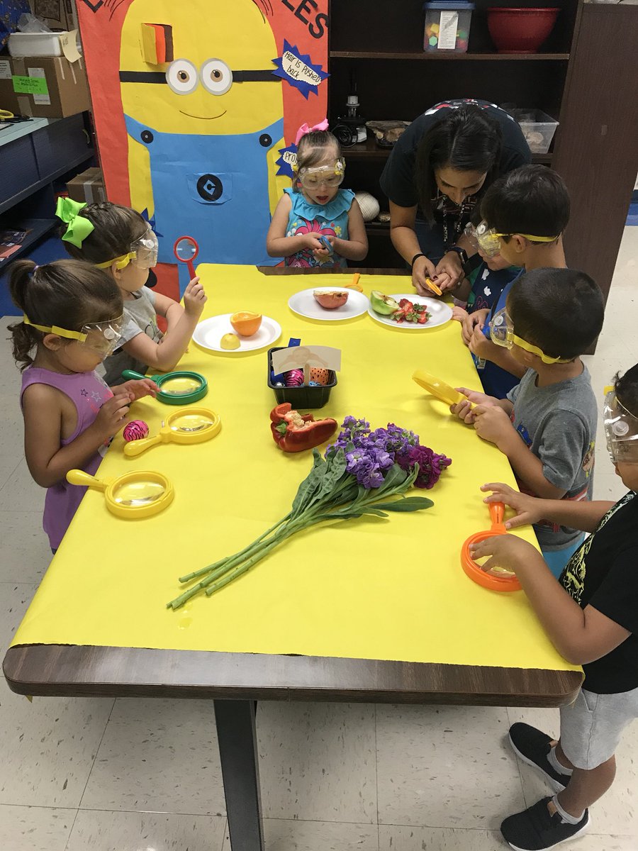 LizetteWWT's tweet photo. Thank You @BrendaWinters18 for inviting our Lil’ Broncos 🐴 to the science 🔬lab! They applied all our lessons of the week to your senses discovery lab!! @NISDWWT @CPWWTPPCD #wwteccppcd #activelearning #nisdppcd #nisdecc #collaboration https://t.co/DMucH7AemW