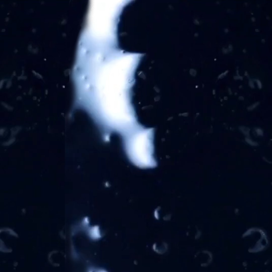 Priscila Guedes tweet media