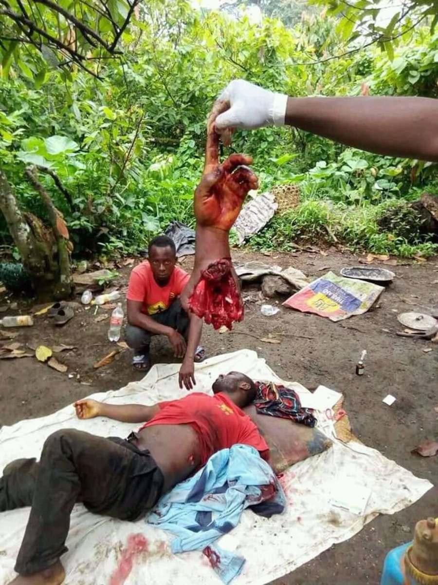 AtatingR's tweet image. O god help us since the the international community have been sleeping to our case look at what  military are doing to civilian in southern Cameroon