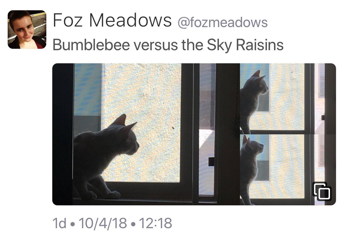 Screenshot of Foz's earlier tweet. Three photos of a cat silhouetted against a window, serendipitously auto-arranged in a pleasing way.