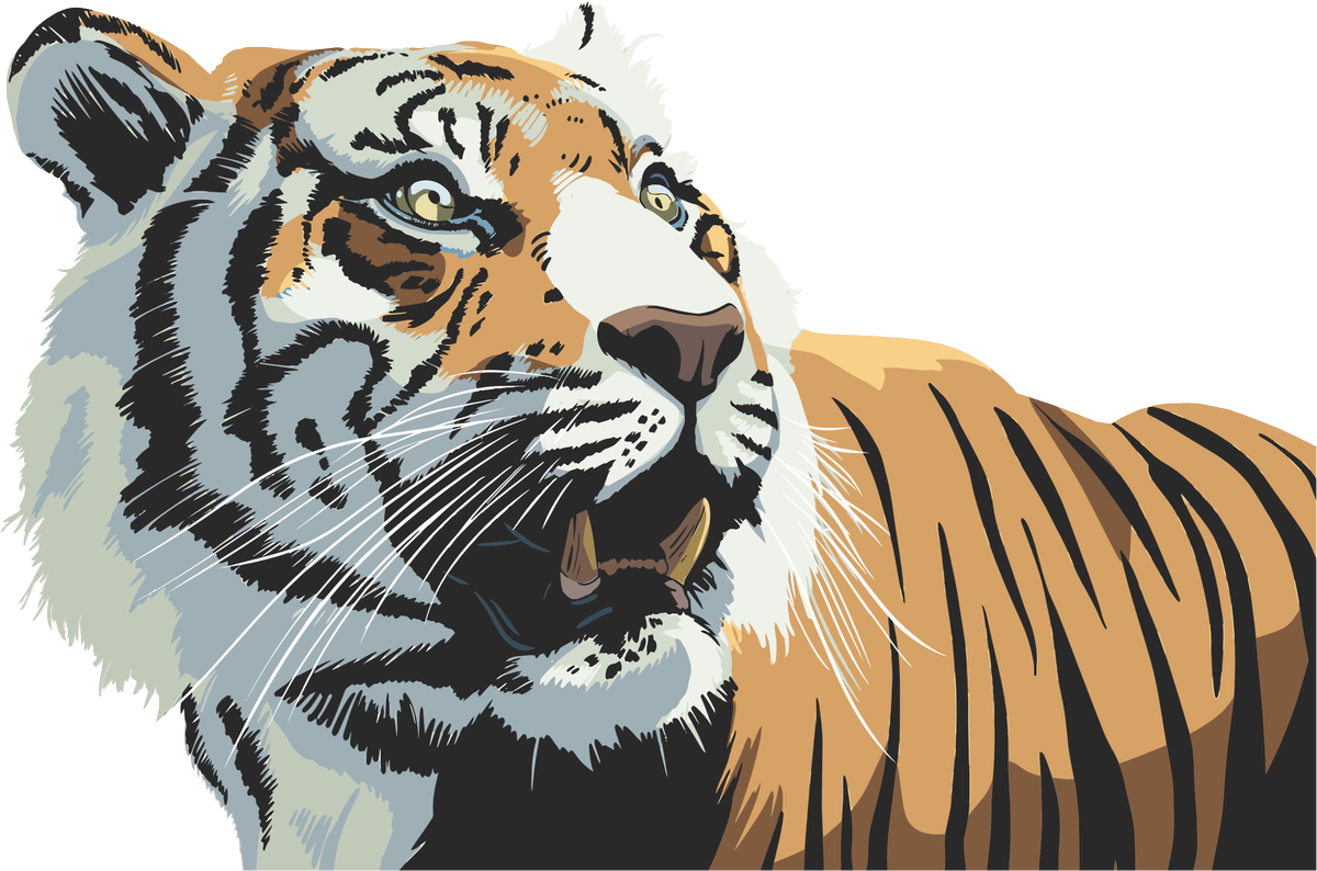 losprovocadores's tweet photo. ¿Quién gana el #ClásicoNacional?

RT - @cdaguilaoficial 

FAV - @CDeportivoFAS https://t.co/yteJYvGrcR
