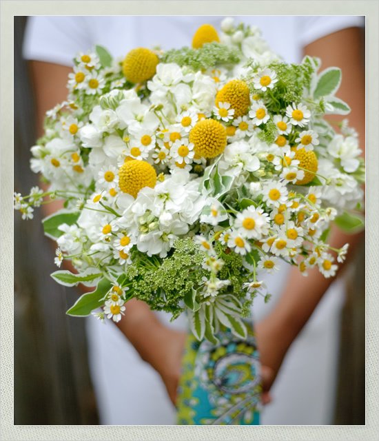 What a cool name for the #FlowerOfTheWeek: Feverfew! #FlowerFriday