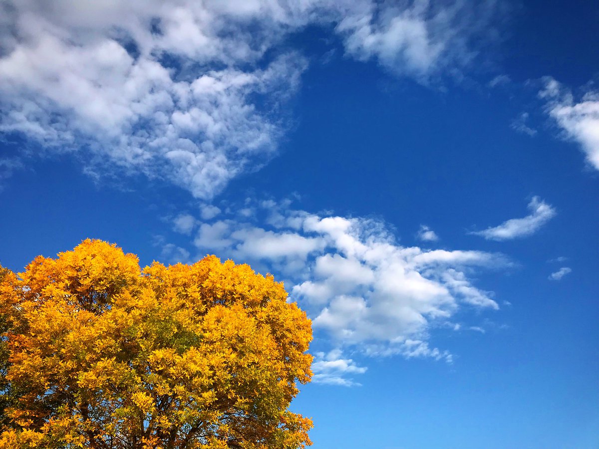 KenzieKleinert's tweet photo. Fall colors round here ! 👌🏻🍁 @iowadnr #iowa #iowadnr #fall #fallcolors https://t.co/vSp7NEVV46