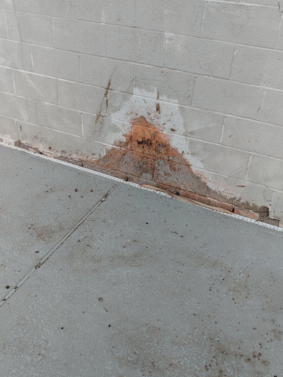 ottojeff's tweet image. @AirbnbHelp this is the back wall by the pool in the place we reserved. Please DM for help getting this resolved