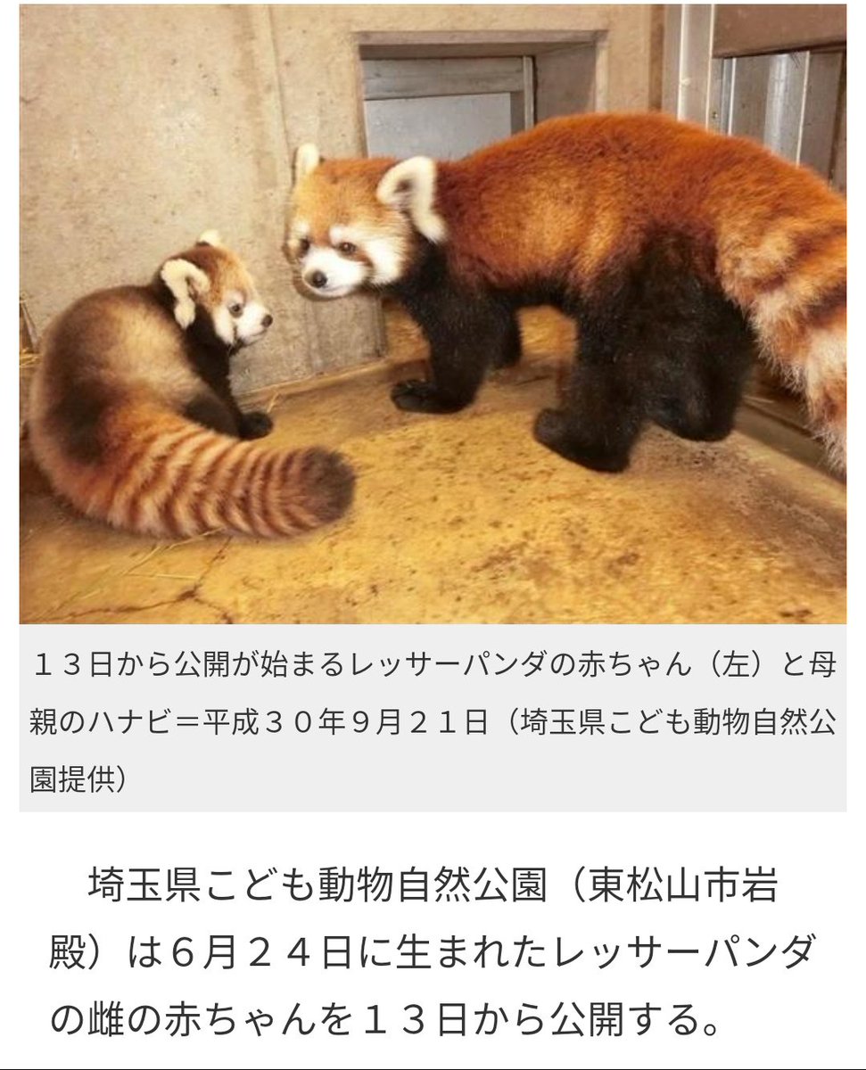 これまでで最高の ぼ から 始まる 動物