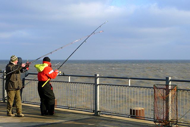 iclickfishing's tweet photo. Fishing Tips Guru | Pier Fishing Tips #FishingTips #FishingReviews #Fishing #FishingNews #FishingWebsite https://t.co/aDFggz37G9 https://t.co/pukn6zcTms