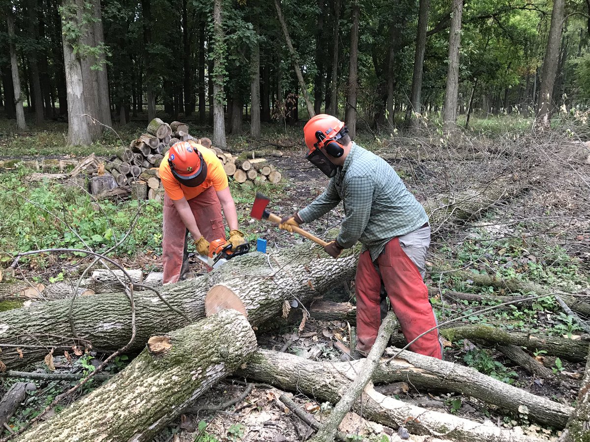 U of I Ext. Forestry tweet media