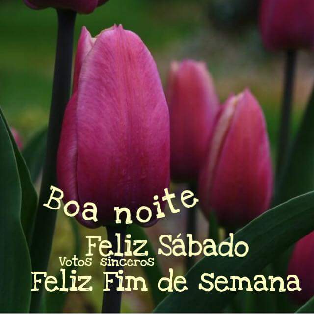 <a href="/GercinoGer/">GERCINO AZEVEDO🐶⌚❤🇧🇷😁🤣🌷📖✝</a>