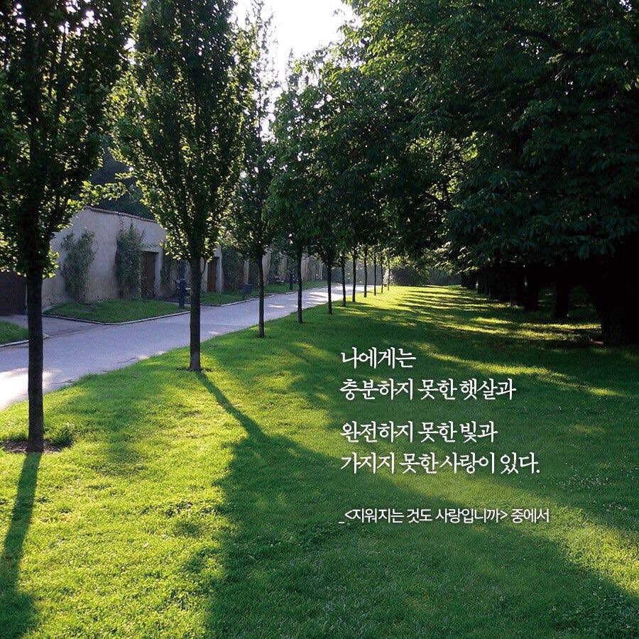 황경신 글 / 김원 사진 <지워지는 것도 사랑입니까> 중에서
YES24 : bitly.kr/49Of
