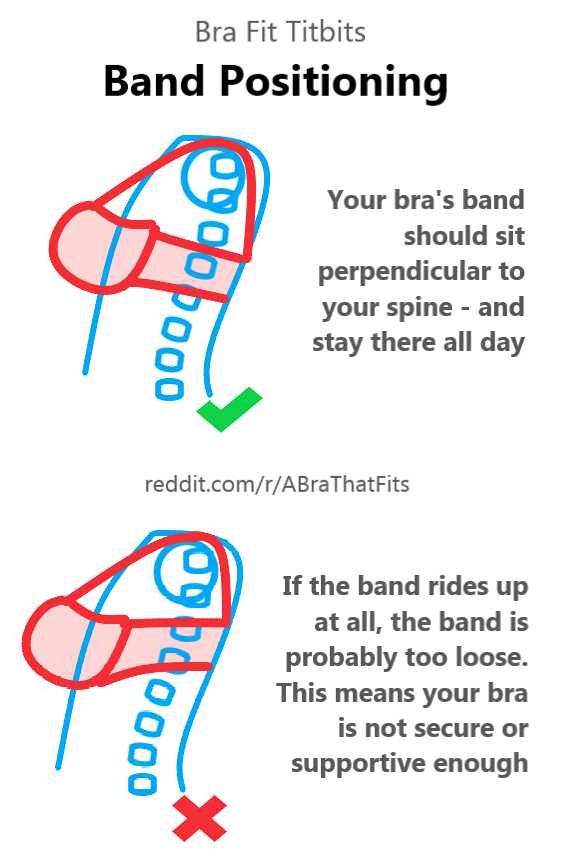 bra fit reddit