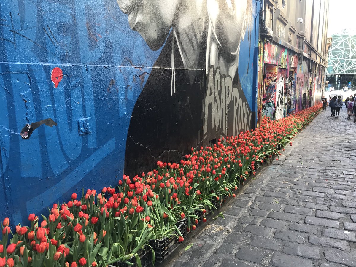 DaniellePoulos's tweet image. Yesterday in Melbourne - flowers in Hosier Lane, Arbory Afloat on the river.