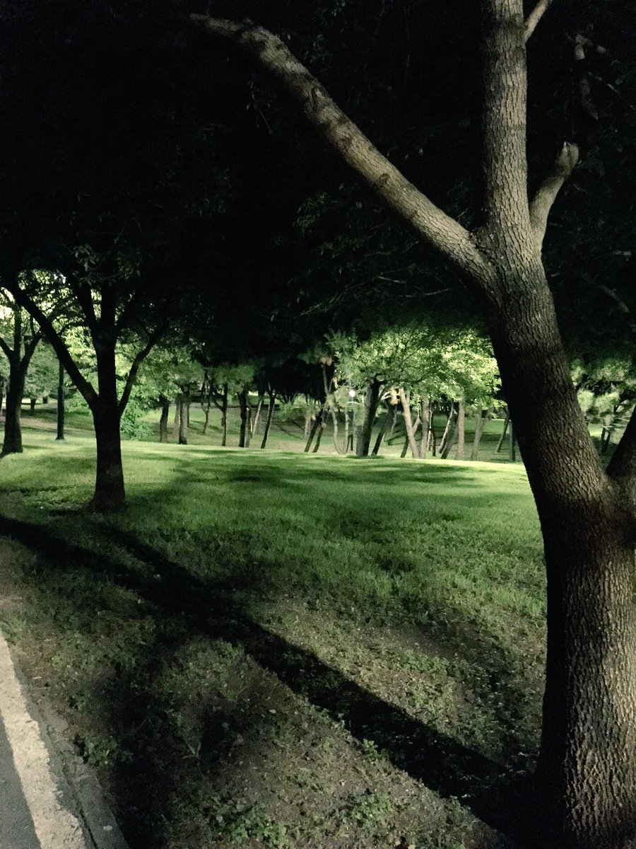 MAGS_SP's tweet photo. 🌳🌳🌳 #RelaxView https://t.co/MQoYL9mVvL