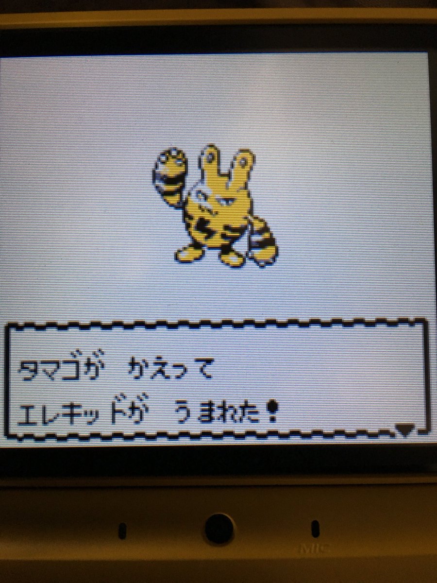 色違いポケモン紹介 Vc産エレキッド 自由に生きてあそblog
