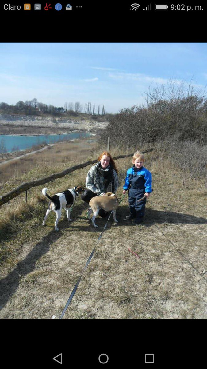 RiosSolberg's tweet image. 