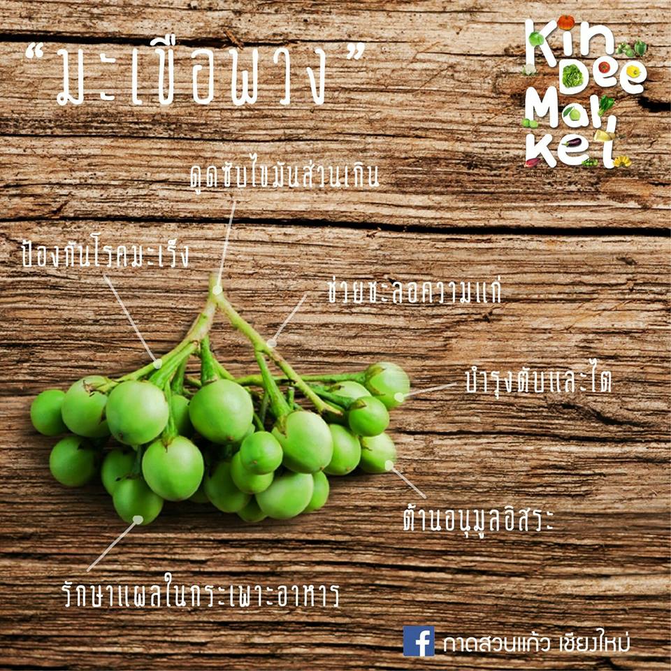 kadsuankaew's tweet photo. 🌿"มะเขือพวง" ลูกเล็กๆ แต่คุณประโยชน์ไม่เล็ก
มีสรรพคุณช่วยย่อยอาหาร มีเส้นใยอาหารชนิดที่ละลายน้ำได้ ซึ่งมีคุณสมบัติดูดซับไขมันส่นเกินอีกด้วย

📆ทุกวันจันทร์-อังคาร เวลา 10.00-15.00 น.
📍Kin Dee Market ชั้น B1 กาดสวนแก้ว

#KinDeeMarket
#กาดสวนแก้ว
#reviewchiangmai
#ผักผลไม้ปลอดสาร https://t.co/IjY4aAZxWr