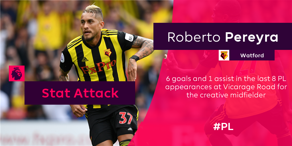 This Hornet is happiest at home... 🐝

#WATBOU #PL