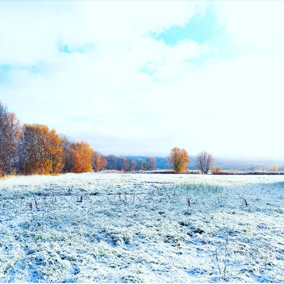 CaStromsnes's tweet photo. Der høst og vinter møtes🍁❄ https://t.co/qraIq0F1kE