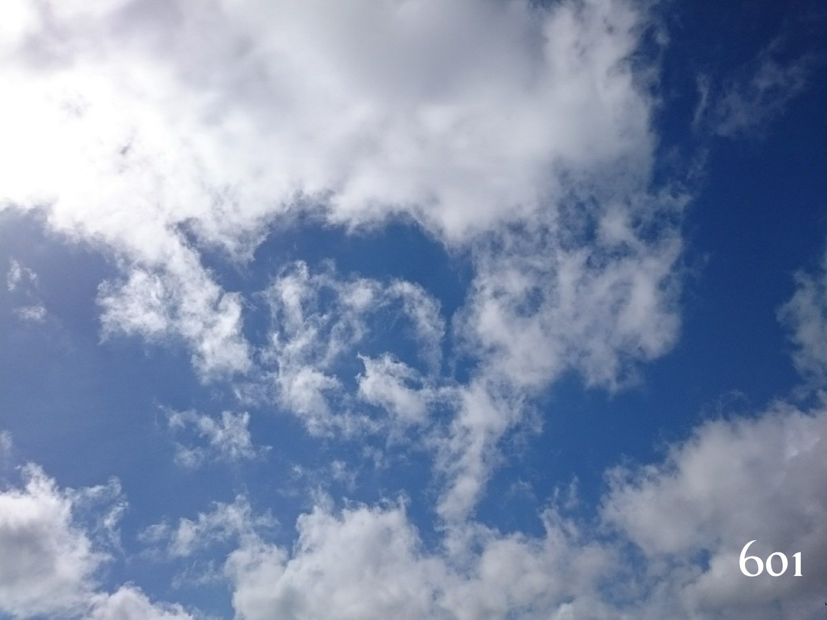 0724Nyan's tweet photo. あんにょん😊
台風が近付いてますね。どうか被害が出ませんように。
今日も良い日になりすように🍀
#同じ空の下
#D601
#D602(昨日の朝の空)
#毎週末天気が悪くて大物が洗濯出来ない😭 https://t.co/tVCQOZmsUE