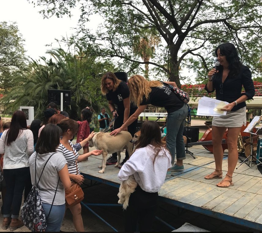 Ata Gomis i Nacho Roca ja estan llests per a presentar la 4a edició de la Fira Animalista de València! I les associacions participants i tots els col·laboradors que fan este esdeveniment possible, també! Us esperem demà des de les 11 al llit del riu Túria!