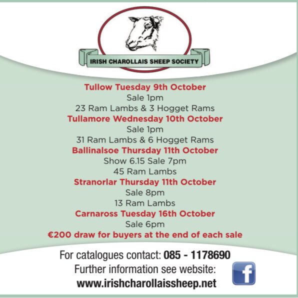Irish Charollais Sheep Society tweet media