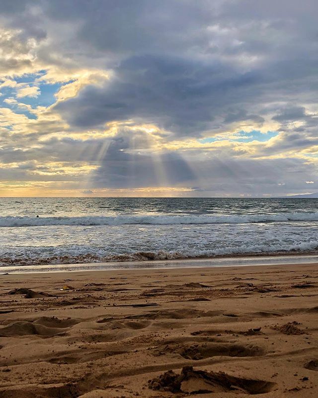 spotrikus's tweet photo. ||| This was before I tried to body surf and accidentally landed on a rock. 🙃 https://t.co/MlNIjQXjrs https://t.co/UT0bzR6V30