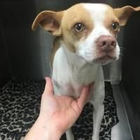 ruitiantai's tweet image. Don't touch me. I want to play with cable☹️☹️☹️☹️☹️☹️☹️
#usbdatacable #nylonbraidedcable #Cabelforiphone rtt-conn.en.alibaba.com