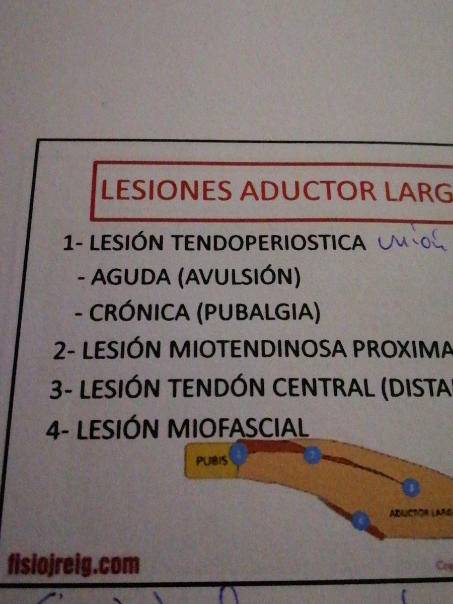 lorenzo rodriguez tweet media