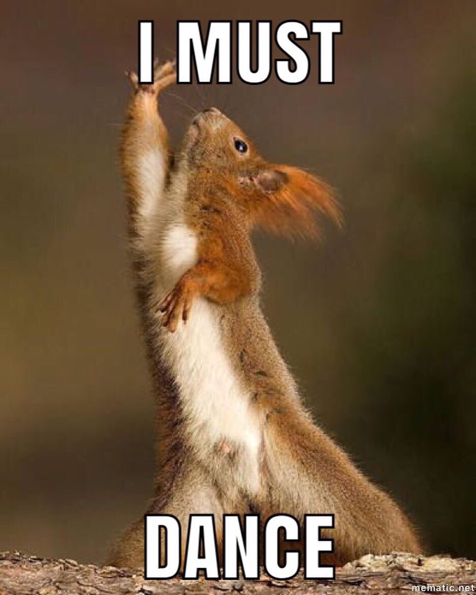 WarwickSalsa's tweet photo. Has the dancing bug got you yet? Dance to your heart’s content at our first class of term on Monday, followed by social dancing 🕺🏻 Check out the details below. See you on the dance floor! https://t.co/oz5BdbUlWe