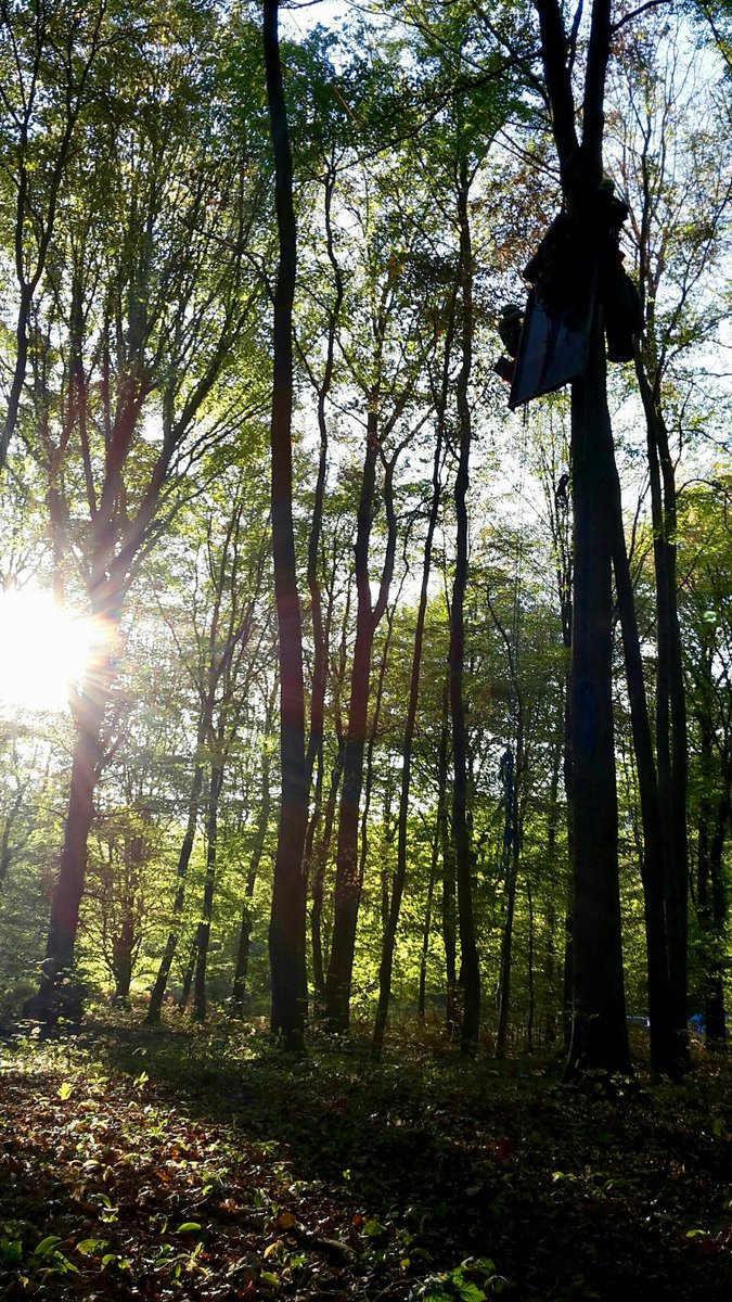 Uns erreicht gerade diese Einladung:
„In der Nacht wurden neue Strukturen aufgebaut für Baumhäuser im #HambacherForst. Kommt vorbei und baut mit, zieht ein oder gesellt euch mit eurer #Hängematte dazu! #Kohleausstieg jetzt!
#Rodungsstopp für immer!“
#Hambibleibt #Hambi0610