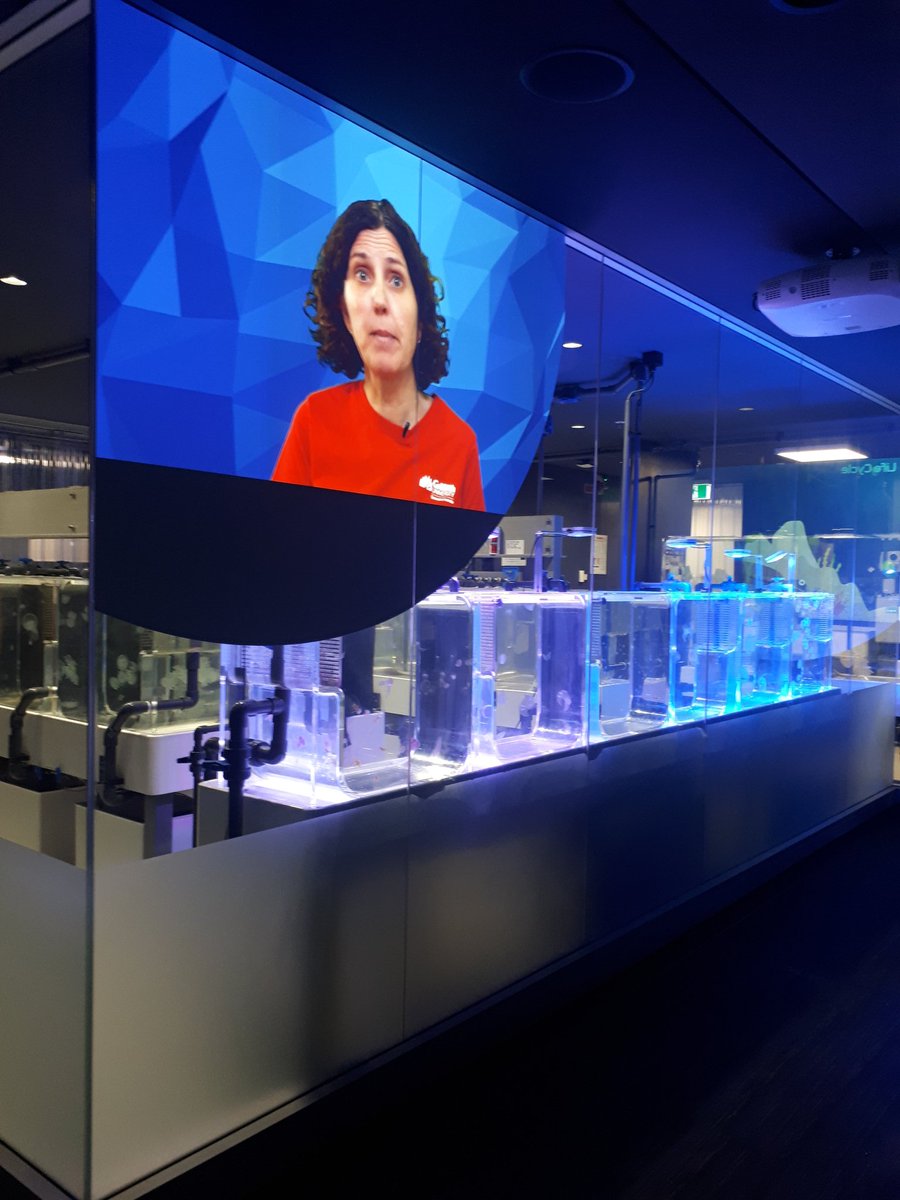 Jess Gunnell tweet media