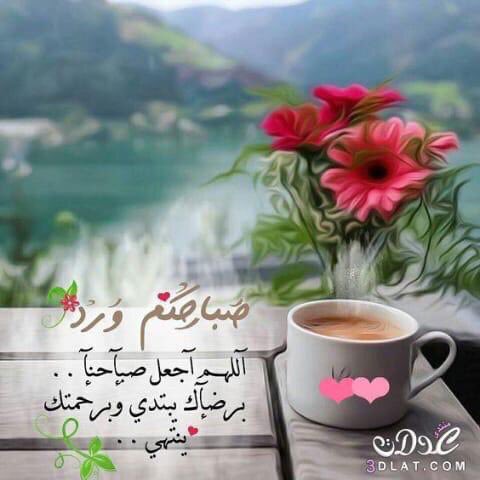 ASoumeiri's tweet photo. https://t.co/t5nropnHZ0