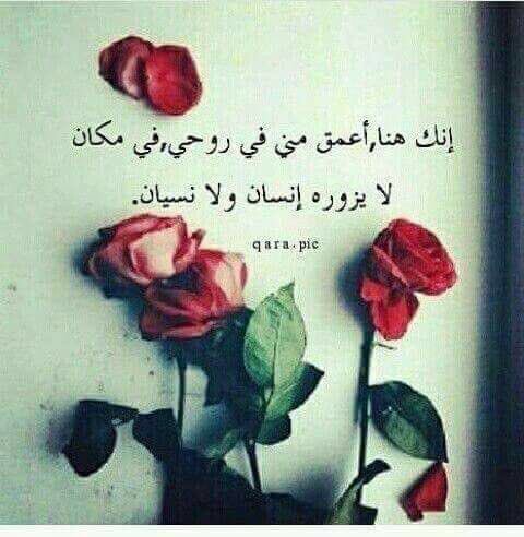ASoumeiri's tweet photo. https://t.co/t5nropnHZ0
