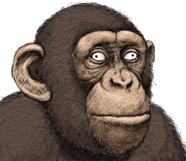 大友しゅうま Ranpan21のイラスト