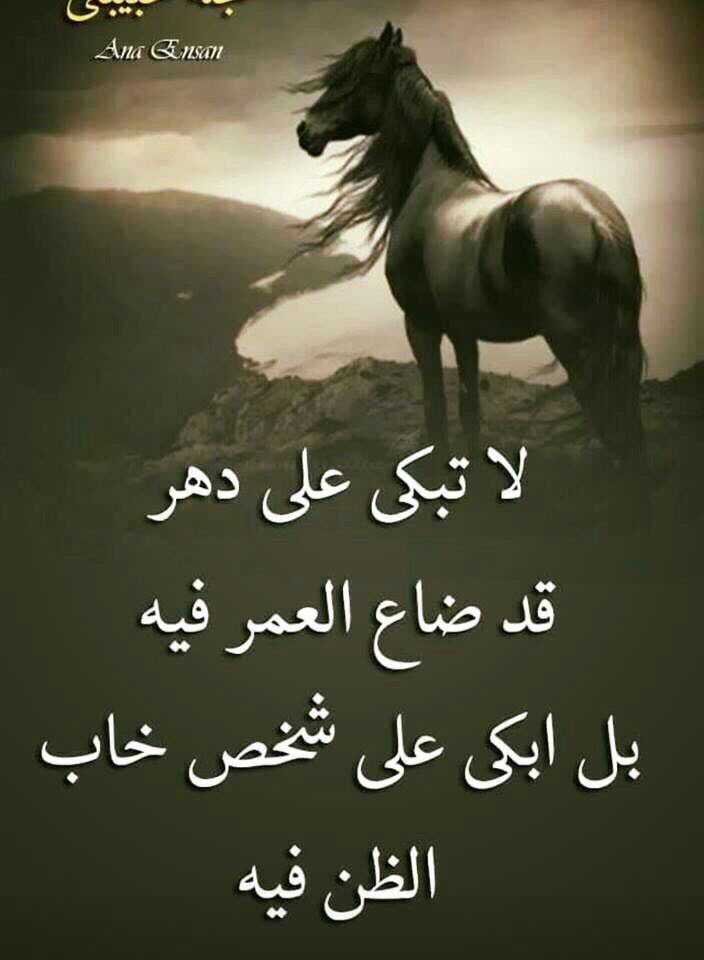 ASoumeiri's tweet photo. https://t.co/cIIbJo9fF7