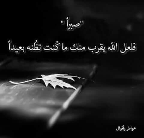 ASoumeiri's tweet photo. https://t.co/7U1qHzWLAO