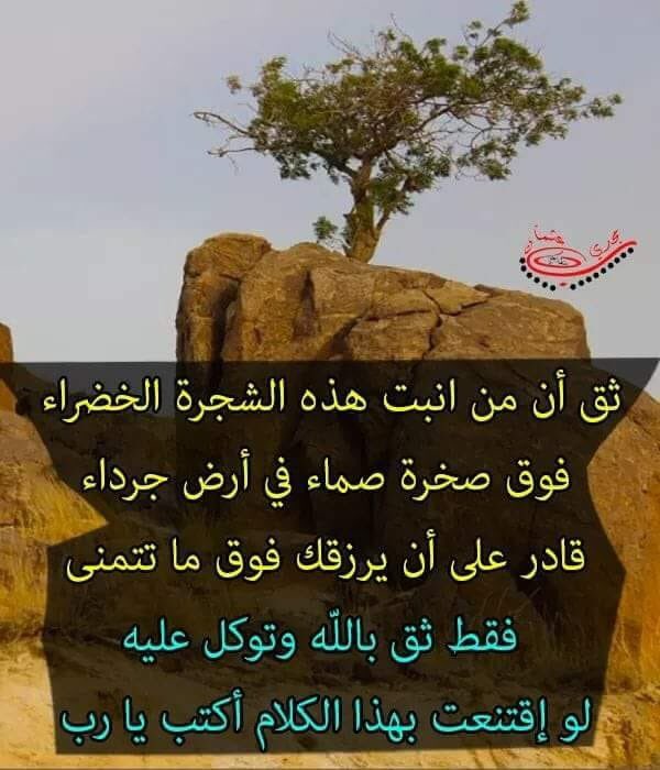 ASoumeiri's tweet photo. https://t.co/qH9vhgBpML