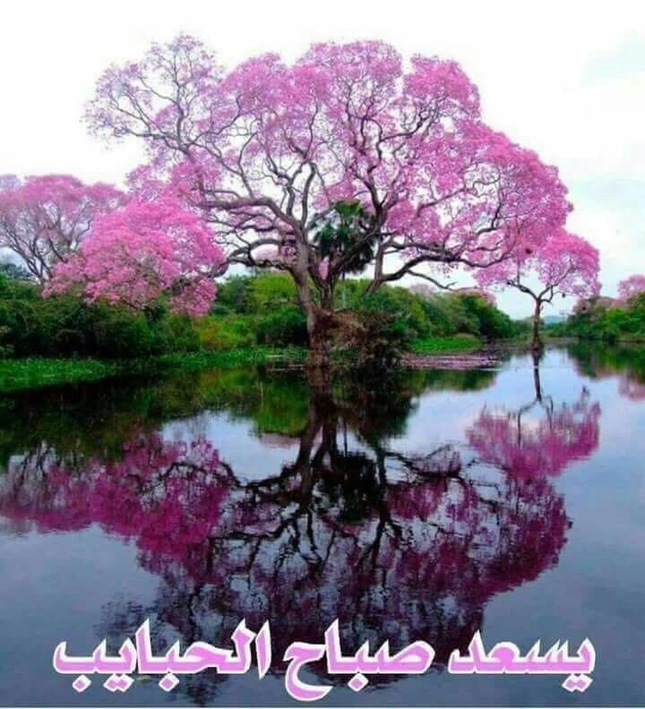 ASoumeiri's tweet photo. https://t.co/i41sB18G32