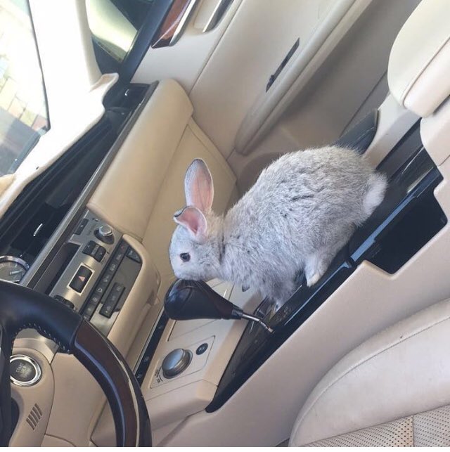 أحب بيوت الطين والفلاحين ورائحة الأرض الزراعية في فصل  الشتاء ويروق لي الجو البارد الذي يحمل هواء الجبال المنعش الصافي والخالي من ملوثات الهواء رغم أنني بنت الساحل رباني البحر وكل أمنياتي زرقاء ❤️💜 صبح الله قلوب أحبتي بالعطر 🌹