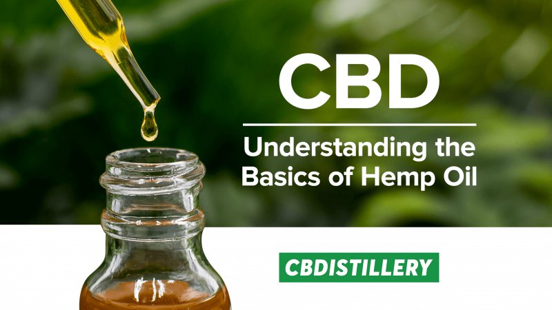 #CBD : Understanding the Basics of #Hemp Oil - dld.bz/hbm9y #hempoil