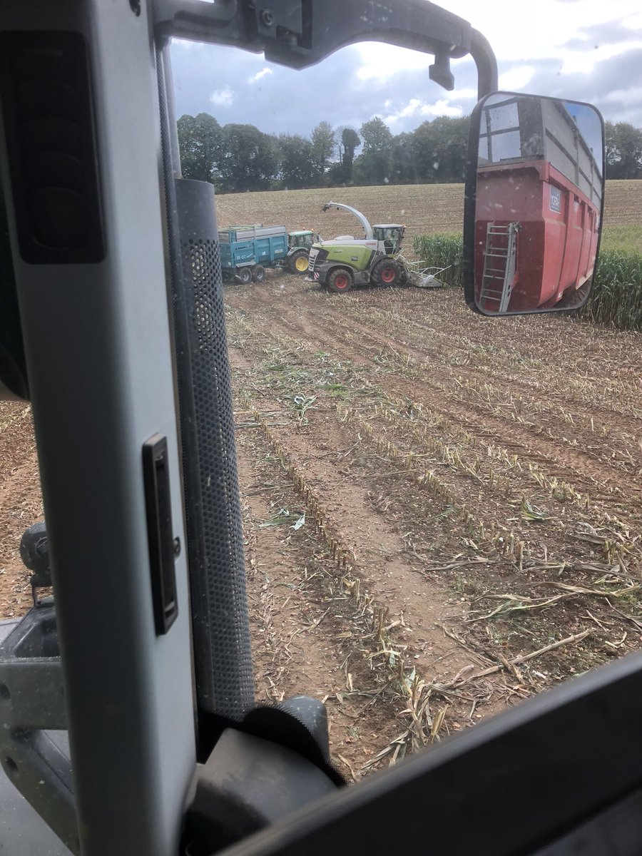 Tompasquier5's tweet photo. La saison des ensilages touche à sa fin, une année comme l’on voit rarement .
Des bons fourrages pour faire #dubonlait https://t.co/TXnWONEilR