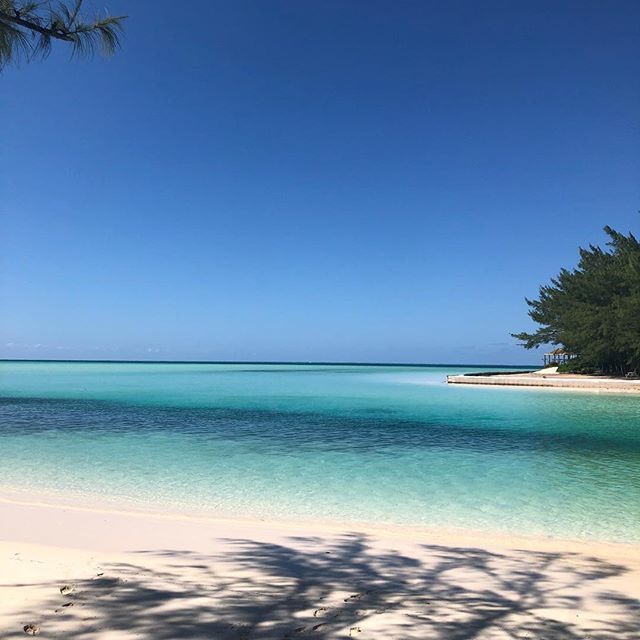 tlovvorn's tweet image. Another spectacularly beautiful day here in Spanish Wells! Hating that we will have to head home tomorrow. This is definitely a place we want to come back and visit again. If you are considering a vacation to the Bahamas, check into this area. .
.
#baham… ift.tt/2QvLJK1