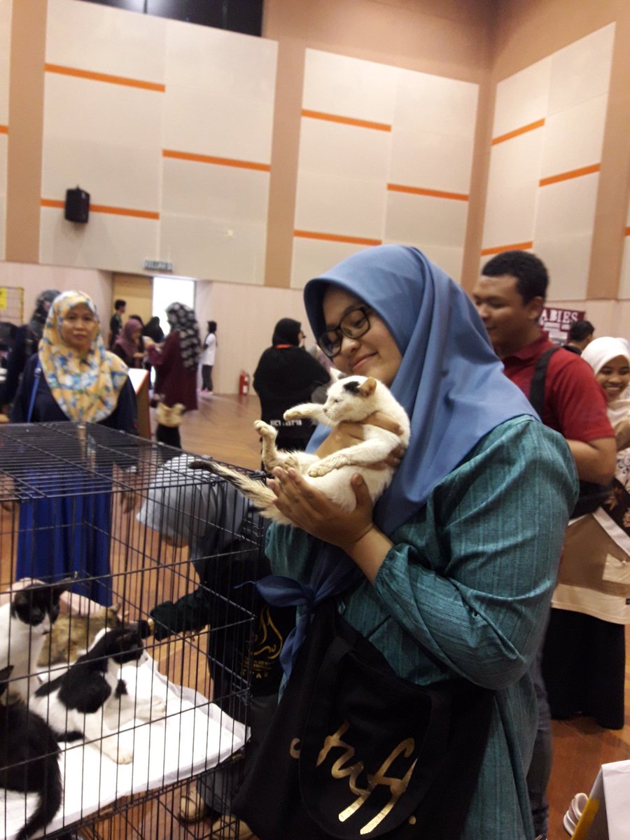 itsef19's tweet photo. [LIVE UPDATE]

KICT CAT ADOPTION 🐱

Come now and adopt these adorable kitties ❤

#kictfestastic
#ICTSS1718
#ExecuteAsOne 
#CatDay18 https://t.co/zdaYvHuuCv