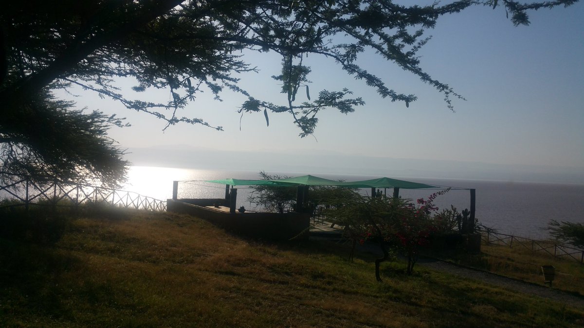 TsedaleLemma's tweet photo. Incredible tour to east shewa; east & west #Arsi in #Oromia. From the fresh fruit juice of #Awash, to the breathtaking mountains full of alpine vegetation of #Assela & #Beqoji, #Meraro, #Negele, #Assasa, to the savana grassland of #Langano. I hate it it's coming to an end though! https://t.co/jpBG6lv8TF