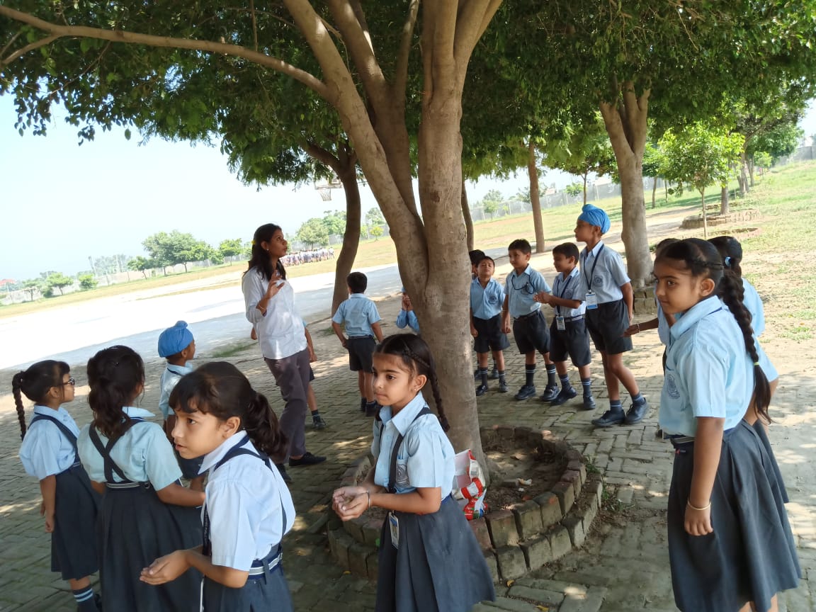 babybehl's tweet photo. Let's do a little research on #naturelover friends chirpy #birds their nests #feedbirds give #water Ss of grade 1 @KnpsIndia enjoyed this #activitylearning, follow sdg4 @pkdhillon08 @TeachSDGs @SDGsForChildren @SDG2030 @charuchhabra2 @meenaks09023755 @sandeepkvirdi https://t.co/I4nvi4fKK7