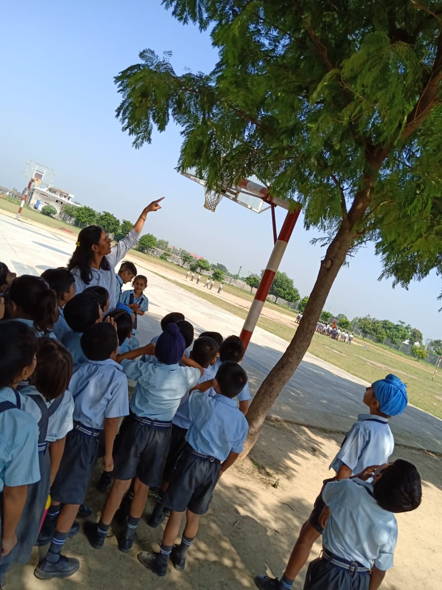 babybehl's tweet photo. Let's do a little research on #naturelover friends chirpy #birds their nests #feedbirds give #water Ss of grade 1 @KnpsIndia enjoyed this #activitylearning, follow sdg4 @pkdhillon08 @TeachSDGs @SDGsForChildren @SDG2030 @charuchhabra2 @meenaks09023755 @sandeepkvirdi https://t.co/I4nvi4fKK7